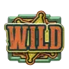 Wild symbol star icon